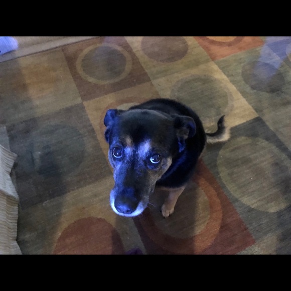 Meet the Posher - Picture 5 of 6